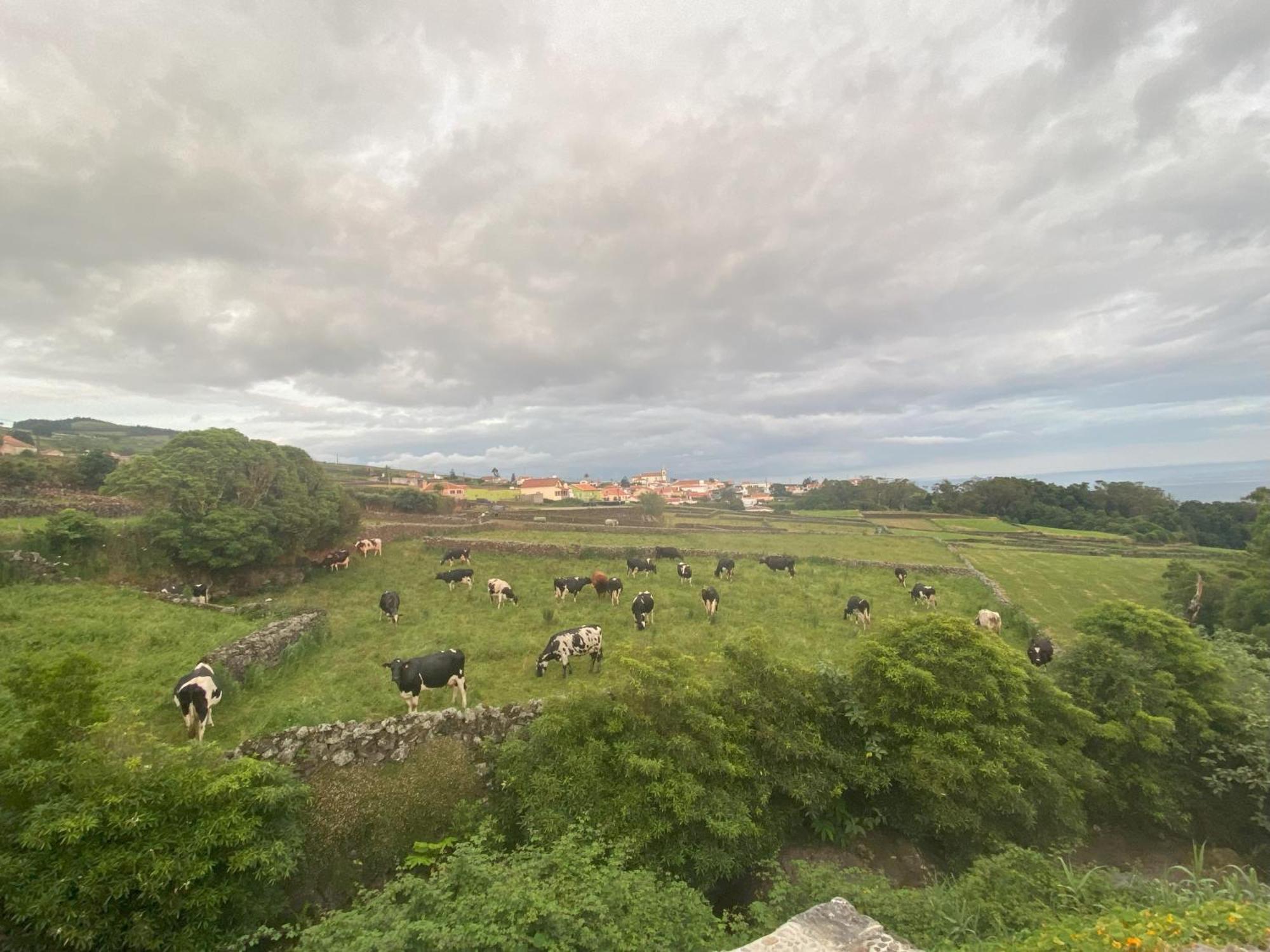 Luzz Me - Casa Das Doze Ribeiras Buitenkant foto