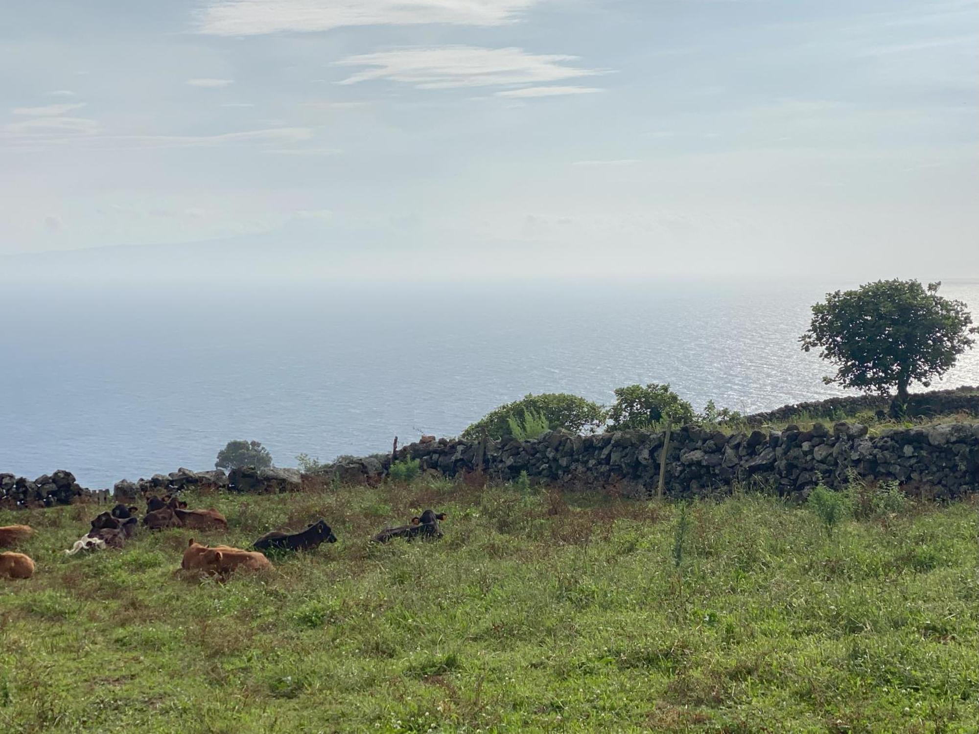 Luzz Me - Casa Das Doze Ribeiras Buitenkant foto